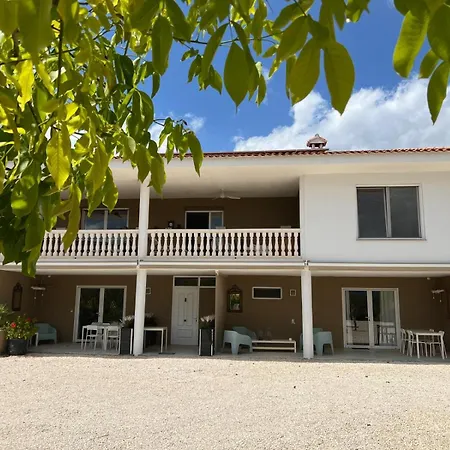 Appartement Atidos Ontinyent